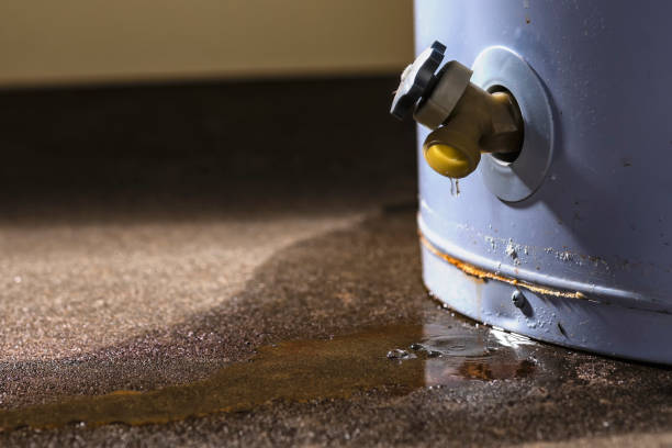 Best Water damage contractors near me  in Belleair Beach, FL