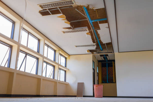 Best Fire Damage Restoration  in Belleair Beach, FL