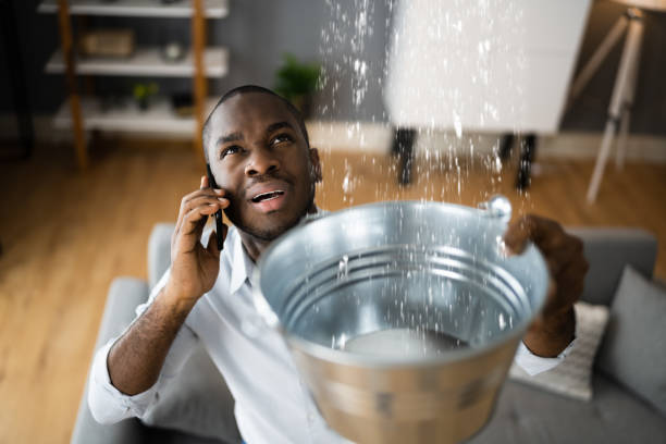 Best 24/7 water damage repair  in Belleair Beach, FL