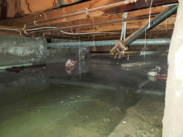 Best Water damage restoration insurance claims  in Belleair Beach, FL