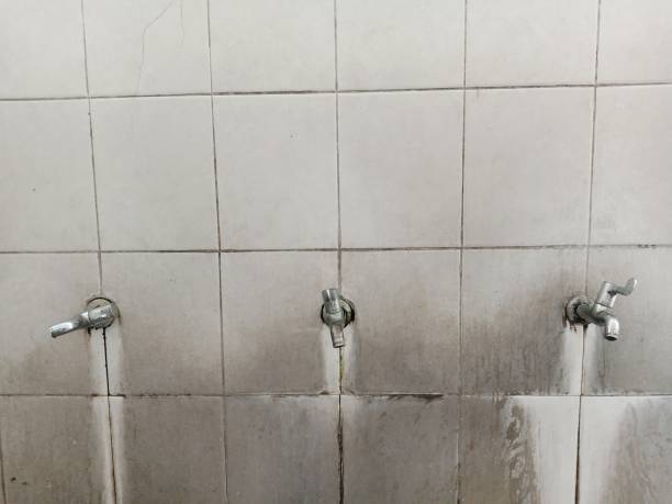 Best Water damage mitigation services  in Belleair Beach, FL