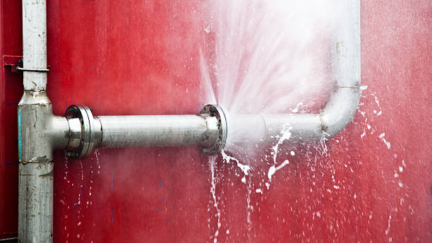 Best Water damage cleanup near me  in Belleair Beach, FL